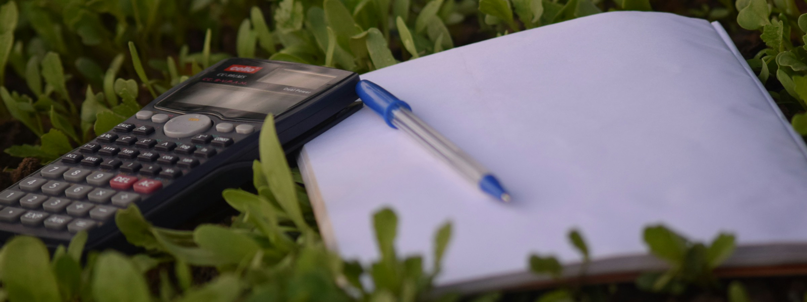 A notebook and calculator on grass